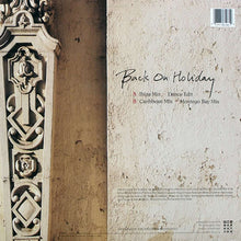 Load image into Gallery viewer, Robbie Nevil : Back On Holiday (12&quot;)