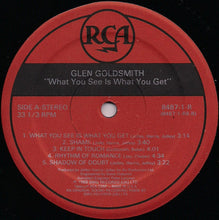 Load image into Gallery viewer, Glen Goldsmith : What You See Is What You Get (LP, Album)