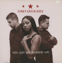 Load image into Gallery viewer, Funky Green Dogs : You Got Me (Burnin&#39; Up) (12&quot;)