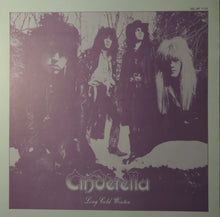 Load image into Gallery viewer, Cinderella (3) : Long Cold Winter (LP, Album)
