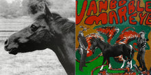 Load image into Gallery viewer, Vambo Marble Eye : Two Trick Pony (CD, Album)