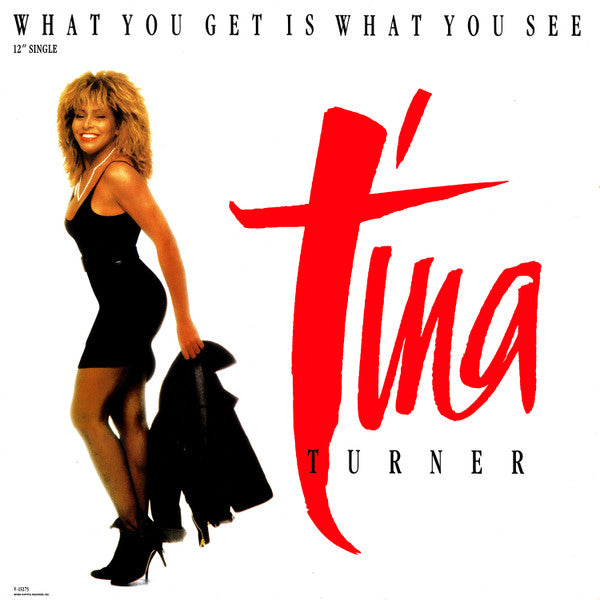 Tina Turner : What You Get Is What You See (12
