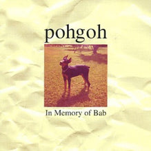 Load image into Gallery viewer, Pohgoh : In Memory Of Bab (CD, Album)