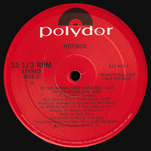 Hot Box (2) : Do You Wanna Lover (12", Promo)