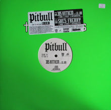 Load image into Gallery viewer, Pitbull : 305 Anthem / She&#39;s Freaky (12&quot;)