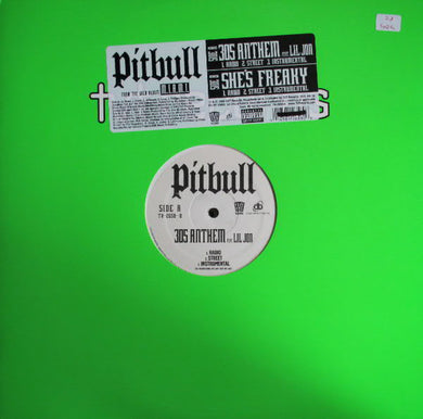 Pitbull : 305 Anthem / She's Freaky (12
