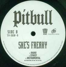 Load image into Gallery viewer, Pitbull : 305 Anthem / She&#39;s Freaky (12&quot;)