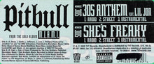 Load image into Gallery viewer, Pitbull : 305 Anthem / She&#39;s Freaky (12&quot;)