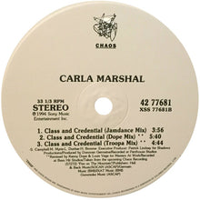 Load image into Gallery viewer, Carla Marshal* : Punny Punny (12&quot;)