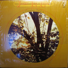 Load image into Gallery viewer, Jerry Lee Lewis : Country Gold (LP, Comp)