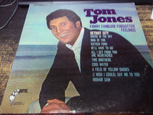 Load image into Gallery viewer, Tom Jones : Funny Familiar Forgotten Feelings (LP, Album)