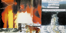 Load image into Gallery viewer, Ramleh : Be Careful What You Wish For (CD, Album)