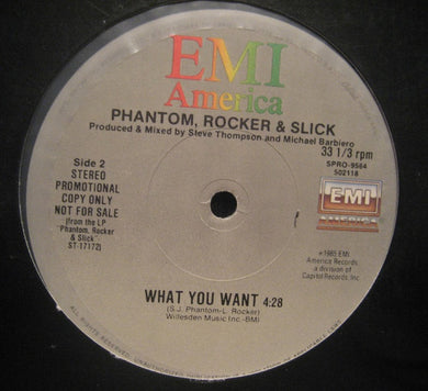Phantom, Rocker & Slick : What You Want (12