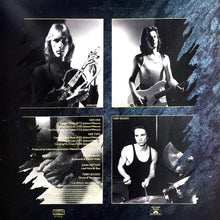 Load image into Gallery viewer, UK (3) : Danger Money (LP, Album, Pit)