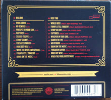 Load image into Gallery viewer, Gov&#39;t Mule : Shout! (2xCD, Album)