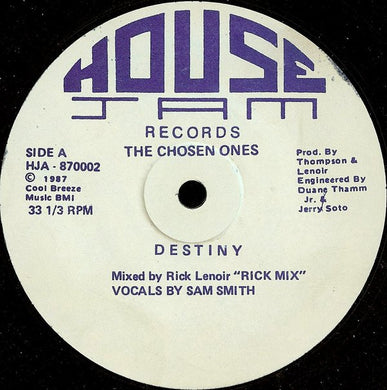 The Chosen Ones : Destiny (12