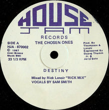 Load image into Gallery viewer, The Chosen Ones : Destiny (12&quot;)