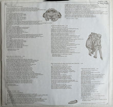 Load image into Gallery viewer, The Dusty Chaps : Domino Joe (LP, Album)