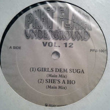 Load image into Gallery viewer, Various : Phat Flava Underground ‎Vol. 12 (12&quot;, Comp, Unofficial)