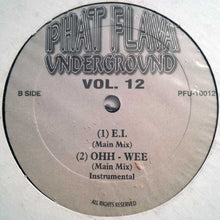 Load image into Gallery viewer, Various : Phat Flava Underground ‎Vol. 12 (12&quot;, Comp, Unofficial)