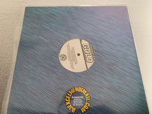 Load image into Gallery viewer, DJ Excel (5) : Mixmasters Gold (12&quot;)