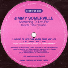 Load image into Gallery viewer, Jimmy Somerville : Something To Live For (12&quot;)
