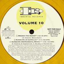 Load image into Gallery viewer, Volume 10 : Sunbeams (12&quot;, Promo, Tra)