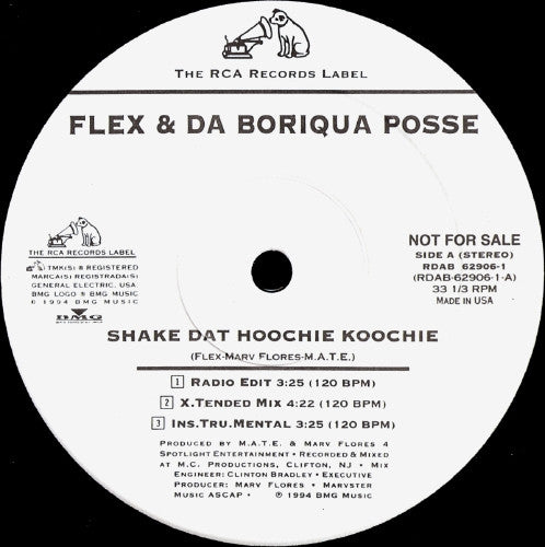 Flex & Da Boriqua Posse : Shake Dat Hoochie Koochie (12