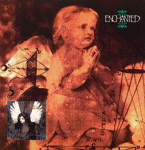 Load image into Gallery viewer, Enchanted : Enchanted (12&quot;)