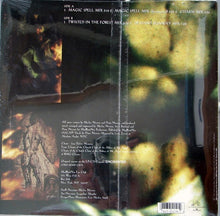 Load image into Gallery viewer, Enchanted : Enchanted (12&quot;)