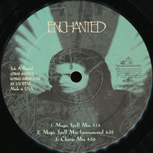 Load image into Gallery viewer, Enchanted : Enchanted (12&quot;)