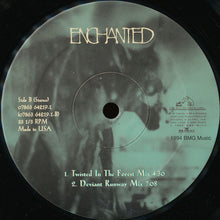 Load image into Gallery viewer, Enchanted : Enchanted (12&quot;)