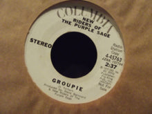 Load image into Gallery viewer, New Riders Of The Purple Sage : Groupie (7&quot;, Single, Mono, Promo)