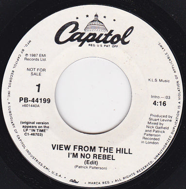 View From The Hill : I'm No Rebel (7