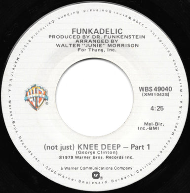 Funkadelic : (Not Just) Knee Deep (7