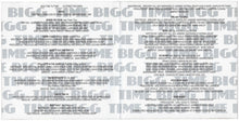 Load image into Gallery viewer, Bigg Time : N Tyme (CD, Album)