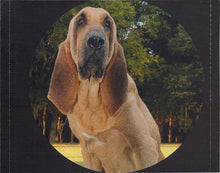 Load image into Gallery viewer, Josh Turner (2) : Haywire (CD, Album)