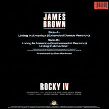 Load image into Gallery viewer, James Brown : Living In America (12&quot; Extended Dance Mix) (12&quot;, Single)