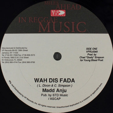 Madd Anju / Red Rat : Wha Dis Fada / Buddy She Want (12