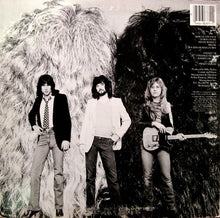 Load image into Gallery viewer, Heart : Bebe Le Strange (LP, Album, Pit)