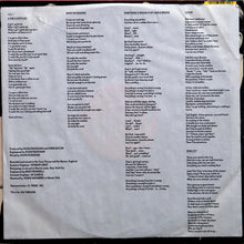 Load image into Gallery viewer, Waitresses* : Bruiseology (LP, Album, 53 )