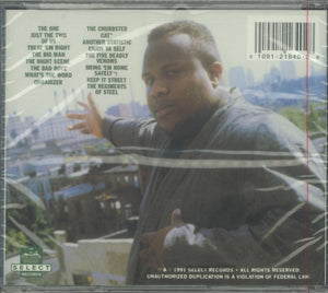 Chubb Rock : The One (CD, Album)