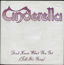 Load image into Gallery viewer, Cinderella (3) : Don&#39;t Know What You Got (Till It&#39;s Gone) (7&quot;, Single, Car)