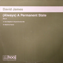 Load image into Gallery viewer, David James : (Always) A Permanent State (12&quot;, 2/2)