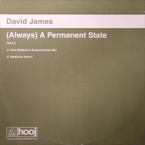 David James : (Always) A Permanent State (12