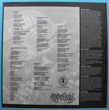 Load image into Gallery viewer, Sepultura : Arise (LP, Album, RE)