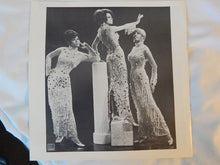 Load image into Gallery viewer, Diana Ross And The Supremes : 25th Anniversary (3xLP, Comp, Promo, RM)