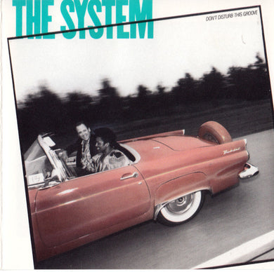 The System : Don't Disturb This Groove (CD, Album)