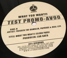 Load image into Gallery viewer, Real Life* Featuring Papoose &amp; Trigger The Gambler* : What You Want (12&quot;, Single, Promo)