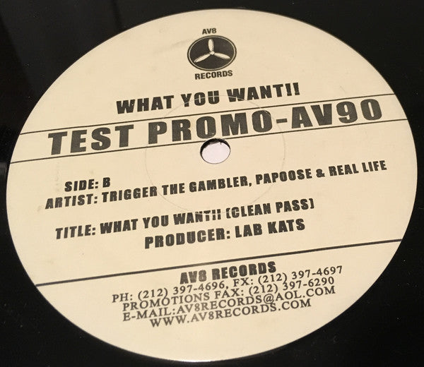 Real Life* Featuring Papoose & Trigger The Gambler* : What You Want (12